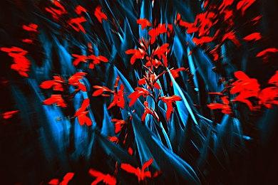 暴雪：PC比主机利润更大 上半年收益12.5亿美元